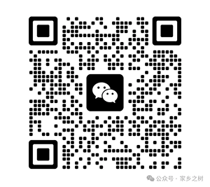 一级建造师实务信息网